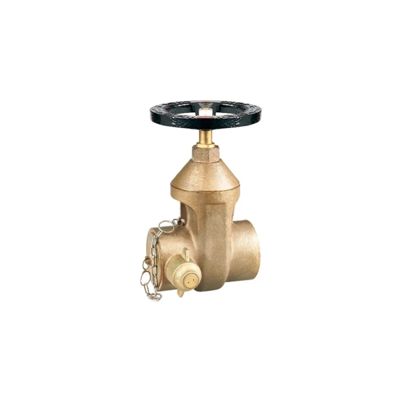 DN65 Diaphragm Valve