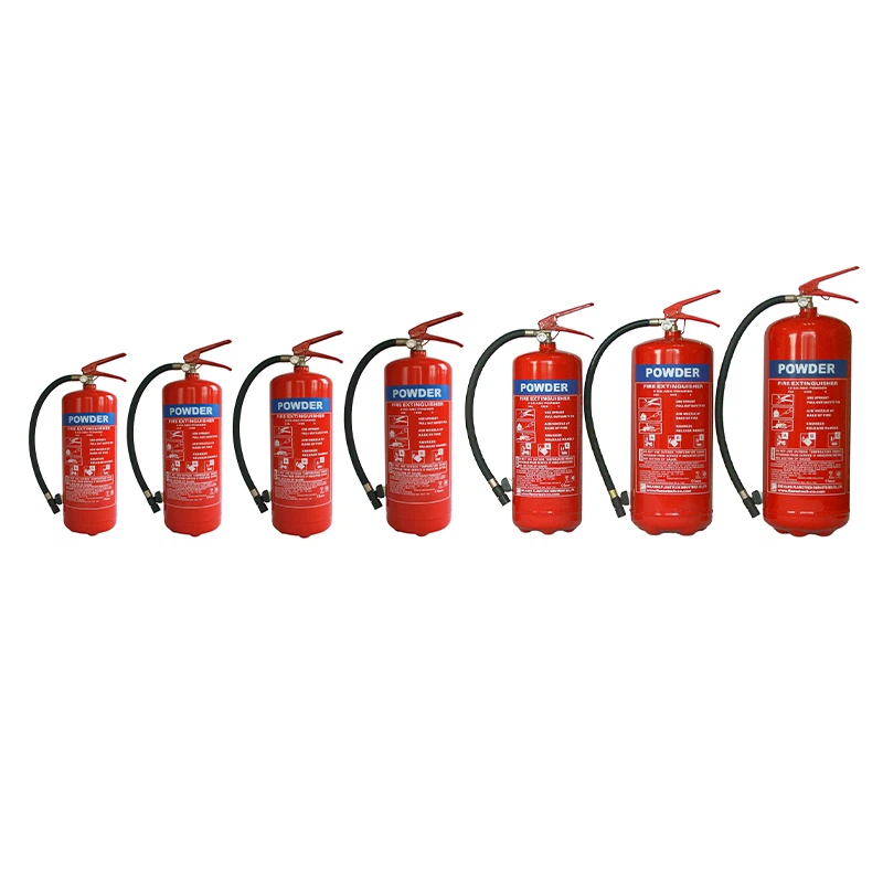 Portable Dry Powder Fire Extinguisher