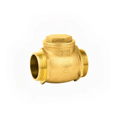 Check Valve